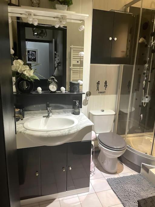 Ozoir-la-Ferrière Appartement - Chic Et Cosy A 30 Minutes De Paris Et 25 Minutes De Disney المظهر الخارجي الصورة
